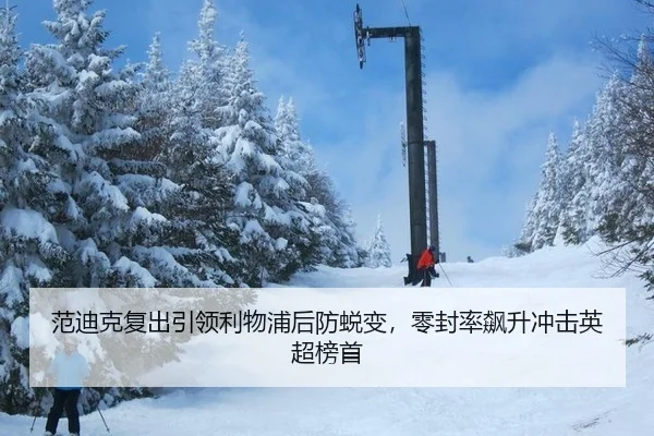 范迪克复出引领利物浦后防蜕变，零封率飙升冲击英超榜首